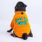 Pawstar Turuncu Cool Sweet Küçük Irk Köpek Pofuduk Sweatshirt (L)