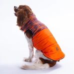 Pawstar Turuncu Elgin Paws Su İtici Küçük Irk Köpek Puf Yelek Yağmurluk (XL)