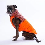 Pawstar Turuncu Elgin Paws Su İtici Orta-Büyük Irk Köpek Puf Yelek Yağmurluk (3XL)