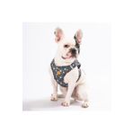 Pawstar Wow Air-mesh Göğüs Tasması Kedi Köpek Göğüs Tasması Xsmall