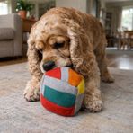 Pawtools Zeka Küpü Orta – Köpek Zeka Oyuncağı – İnteraktif Koklama Oyuncağı – Orta Irklar için Aktivite Oyuncağı (Gri)