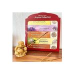 Pazarcan Miebox Make It Easier Garden Fresh Aroma Collection Tütsü Seti (Premium Hand Rolled Collection Ince