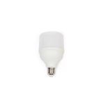 Pazariz 20 Watt Torch Led Ampul