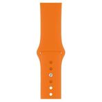 Pazariz Apple Watch Uyumlu 2 3 4 5 6 7 Se Delikli 38 40 41mm Kordon Kayış Bileklik Klasik Silikon