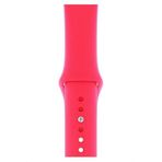 Pazariz Apple Watch Uyumlu 2 3 4 5 6 7 Se Delikli 42 44 45mm Kordon Kayış Bileklik Klasik Silikon