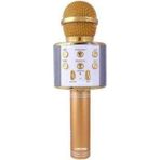 Pazariz C-792 Bt/tf/usb/fm Rose Gold Karaoke Mikrofon