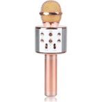 Pazariz Karaoke Mikrofon Dahili Hoparlörlü USB Flash Destekli WS-858 Rose Gold
