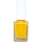 Pazarız Oje No 10 + 307 15 Parça Oje Nail Art Fırça Kozmetik Seti