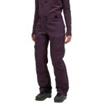 Peak Performance Vislight Gore-Tex Kadın Pantolonu - XS - Renkli