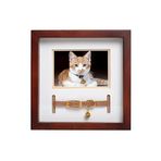 Pearhead Pet Yaka Hatıra Çerçevesi, Evcil Hayvan Anıtı Resim Çerçevesi, Evcil Hayvan Sahibi Ev Dekoru, Kedi veya Köpek Hatırası, 3 "x 4.5" Fotoğraf Ekleme, Duvara Montaj ve Masa Üstü Çerçeve, Espresso