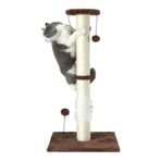 PEEKAB 81 cm Uzun Kedi Tırmalama Direği Sisal Halat Çizik Direkleri Asılı Top ve Kendi Kendine Masaj Fırçasıyla İç Mekan Kedileri ve Yavru Kedi Yavruları için Dikey Scratcher (Kahverengi 81 cm)