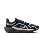 Pegasus 41 Gore-Tex Kadın Koşu Ayakkabısı