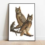 Pegziz pgzzNM1823 Kuş Türleri Sanatsal Duvar Dekorasyon Poster 60x90cm.