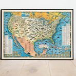 Pegziz pgzzNM2178 Amerika Balık Türleri Haritası Sanatsal Duvar Dekorasyon Poster 60x90cm.