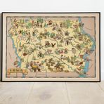 Pegziz pgzzNM2497 Amerika iowa Eyaleti Haritası Sanatsal Duvar Dekorasyon Poster 60x90cm.