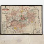 Pegziz pgzzNM2572 Romanya Temeşvar Şehir Planı Haritası Sanatsal Duvar Dekorasyon Poster 60x90cm.