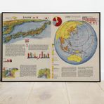 Pegziz pgzzNM2670 Japonya Haritası Sanatsal Duvar Dekorasyon Poster 60x90cm.