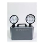 Pelsan 2x10W IP40 Ledli Sıva Üstü Acil Aydınlatma Armatürü