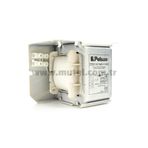 Pelsan 313053 Metal Halide 250w Balast