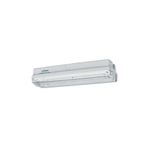 Pelsan IP65 110667 Ausled 10W 6500K Acil Aydınlatma ve Yönlendirme Armatürü