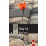 PELTEK VAIZ - İBRAHİM TENEKECI