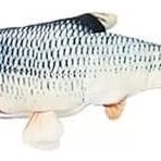Peluş Sevimli Lüfer Balığı Kedi Oyuncağı,Zilli, Kedi Otlu, Catnip Kedi Zeka Geliştirici, Sakinleştirici Oyuncak, Kedi Naneli, Yumuşak Dokulu, Zararlı Kimyasallar İçermez