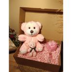 Pembe Ayıcık 25cm - Ayıcık Anahtarlık - Dilek Şişesi - Kalp Tüllü Kutu Hediye Seti