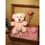 Pembe Ayıcık 25cm - Ayıcık Anahtarlık - Dilek Şişesi - Kalp Tüllü Kutu - Sonsuzluk Gülü Hediye Seti