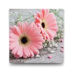 Pembe Gerbera Çiçeği Tablosu - 80x80cm
