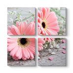 Pembe Gerbera Çiçeği Tablosu 83 x 83-4 Parçalı