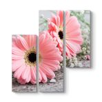 Pembe Gerbera Çiçeği Tablosu 96 x 100-3 Parçalı