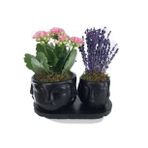Pembe Kalanşo Kalanchoe & Kokulu Lavanta & Siyah Face Beton Saksıda Hediyelik Canlı Çiçek BALFLOWERDESİGN-3130