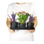 Pembe Kalanşo Kalanchoe & Kokulu Lavanta & Siyah Trio Curve Beton Saksıda Hediyelik Canlı Çiçek BALFLOWERDESİGN-2567