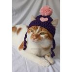 Pembe Kalpli Bere Örgü Kedi Köpek Şapkası Evcil Hayvan Şapkası Pet Aksesuarları