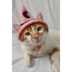 Pembe Mor Ay Desenli Cadı Şapkası Örgü Kedi Köpek Şapkası Evcil Hayvan Şapkası Pet Aksesuarları