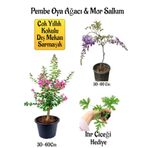 Pembe Oya Ağacı Fidanı+Mor Salkım Ağacı Fidanı Itır Çiçeği Hediyeli Bahçe Peyzaj Seti