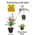 Pembe Oya Ağacı Fidanı+Mor Salkım Ağacı Fidanı Mezem Çiçeği Hediyeli Bahçe Peyzaj Seti