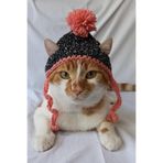 Pembe Ponponlu Kırçıllı Basic Bere Örgü Kedi Köpek Şapkası Evcil Hayvan Şapkası Pet Aksesuarları