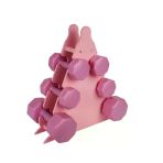 Pembe Renk Dambıl Seti + Stand, 3 Ağırlık Seçeneği