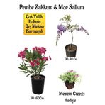 Pembe Zakkum Fidanı+Mor Salkım Ağacı Fidanı Mezem Çiçeği Hediyeli Bahçe Peyzaj Seti