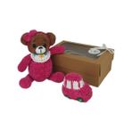 Pembiş Ayıcık Ve Arabası Amigurumi Organik Oyuncak Hediye Seti