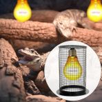 Pengfu Shop Anti Haşlanma Isıtma Lambası Abajur Muhafaza Kafes Koruyucu Sürüngen Isıtıcı Koruma Metal Örgü Lamba Kapağı Yılan Kertenkele Kaplumbağa (Yurt Dışından)