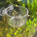 Pengfu Shop No.1 Stili Akvaryum Asılı Mini Kristal Akrilik Pot Dekorasyon Balık Tankı Su Dikim Silindir Bardak Küçük Böcekler Besleme Aksesuarı (Yurt Dışından) - Akvaryum Besleyici