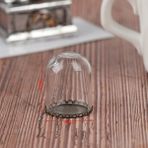 Pengfu Shop Pembe Tarzı Dollhouse Minyatür Cam Ekran Çan Kavanoz Bazlı Dollhouse Dekorasyonu Bebek Evi Dekorasyon Aksesuarları Için (Yurt Dışından) - Renkli