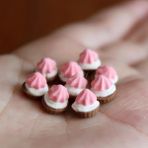 Pengfu Shop Tavus Kuşu Mavisi Stili Laale Minyatür Dollhouse Cam Şeker Kavanozu Barbie Bebek Oyna Pretend Bebek Mutfak Mini Kurabiye Gıda Oyuncak Aksesuarları (Yurt Dışından) - Renkli