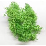 Pengfushop4 Zümrüt Tarzı 30G 7colors Liken Yosun Kümesi Çalılar Için Model Ağaçlar Yeşillik Ölçekli Model Yapı Malzemesi Minyatür Demiryolu Düzeni Diorama 30G (Yurt Dışından)