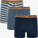 Penti Erkek Geometrik Desenli P Logolu Orta Bel 3'lü Örme Boxer - Renkli - XL