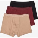 Penti Erkek Pamuklu Basic Çok Renkli 3lü Boxer - XL