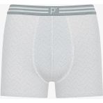 Penti Erkek Renkli Misty Tones Çoklu Boxer - Çok Renkli - XL