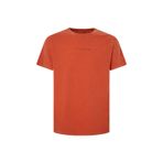 Pepe Jeans Bisiklet Yaka Baskılı Kiremit Erkek T-Shirt PM509231 165 DAVE TEE